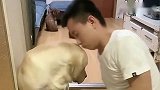 铲屎官在七夕节向狗狗老四表白，结果还是被拒绝，心凉了