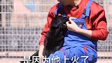 你肯定不知道，狗狗眼屎和肉垫……简单……关爱流浪犬 流浪犬 萌宠  星探家