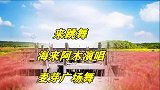 麦芽广场舞《来吧跳舞》中文版 海来阿木演唱