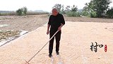 河南方言：李大爷晒玉米，偷懒不干活找小伙玩游戏，结局太逗了