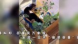 女子用店内公共餐盘喂狗，全程东张西望“偷感十足”，餐厅回应