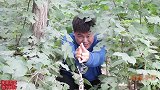 花仙子5：薯条用黑魔法整蛊人，被小美发现，结果俩人打了起来