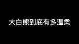 很遗憾没能成为辛巴的第一个主人