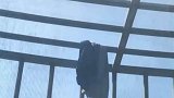 楼上社恐邻居裤衩子掉落自行营救，网友看到开头就猜到了结尾