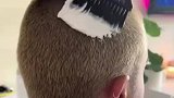 染个头发也这么花里胡哨