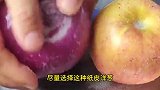 种了40年苹果的果农告诉我，苹果配他吃，作用太厉害了