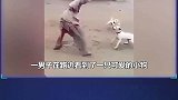 7个对汽车报复的动物，对犀牛狂按喇叭，下一秒犀牛发起攻击