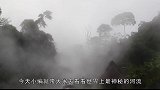 亚马逊神奇河流，到这里的小动物都失去了生命，水温常年很高