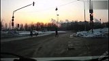 搞笑-20120327-碉堡了汪星狗过行人道的人模狗样