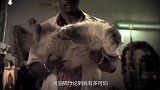 黄油猫悖论究竟是什么？结果让人震惊！