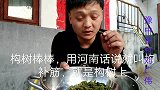 一道农村美食，能补充人体营养成分,健脾养胃还能提高人体记忆力