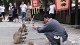 我的生活日记