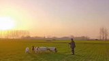 又见炊烟升起，夕阳西下落日余晖