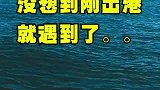 来澳洲黄金海岸钓鱼，刚出海就遇到大鲸鱼！