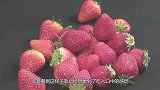 草莓到底有多脏？镜头放大100倍，看完头皮发麻！