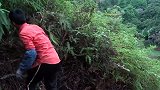 搞笑短剧：22岁农村小伙在山里实力开荒，看了视频你有什么感觉