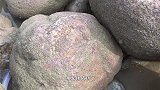 大潮水赶海抽坑真刺激，章鱼乱爬海螺满布，搞到大涨潮差点回不去