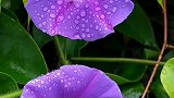 一场秋雨一场寒