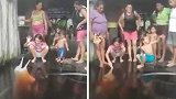 巴西：洪水过后，一条亚马逊河豚被冲到居民家门口