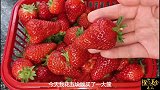 2分钟教你自制草莓蛋糕，不用烤箱不用打发，简单易学，一次成功
