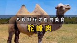 宫廷美食八珍排行之首的驼峰肉，你知道有多美味吗？