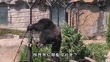 妹子 今天这票没白买吧 还不赶紧刷个香蕉啊
