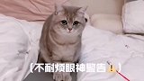 饭钱求生欲问答