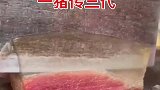 一猪传三代，人死猪还在