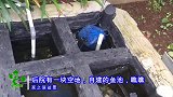 在后院造鱼池，邻居说这是一条水沟，这我就不服了，明明是鱼池