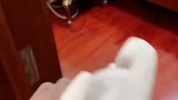 小姑娘与老公的搞笑对话：事出反常必有妖