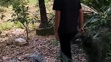 大兄弟你这猝不及防的进攻，让我猝不及防啊！下次不要太突然了！