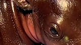 这河马真好看呀，像烤乳猪
