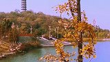 路上的风景很美！