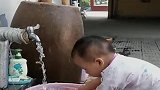 把养了两年的神兽送乡下第二天，奶奶就发来一段视频，这还能要吗