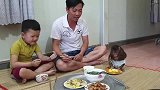 小猴子快完全进化成人了，吃东西这么干净利索，真是难得