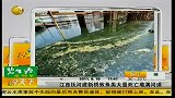 江西抚河建新桥 致鱼类大量死亡堆满河道