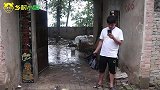 小苗去找小雪，问弟弟的对他的态度怎么样，他很想和小朱搞好关系