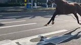 海南海口：街头惊现一“宝马”，无人驾驶路口自行掉头