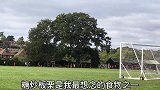 秋天到，满树栗子大丰收，周末散步捡点回来，新鲜的水煮就很好吃