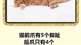 意想不到的冷知识。