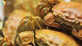 【日日煮】厨访-探访阳澄湖大闸蟹