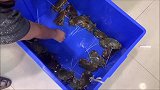 广东海鲜新的做法，螃蟹蒸猪肉，鲜活螃蟹现捕现做，顾客到店必点