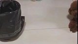 狗子：这垃圾桶太臭了，我给它踢远点！