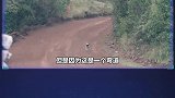 7个奇怪的赛车时刻