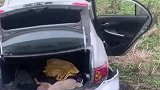 男子开车偷狗被村民抓捕，慌乱之下开下了田地，偷狗不值得同情