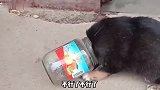 我给你退学费，你快走吧，再教下去，我命休矣！