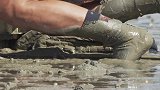 大叔无鱼饵式钓鱼练得出神入化，毫无防备的滩涂鱼，一钩一个准
