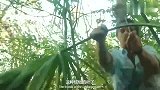 沼泽里贝爷还能生火，而且是在半空中！这技术太牛了