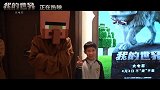 《我的世界大电影》全球票房口碑持续大爆
