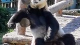 我的生活日记